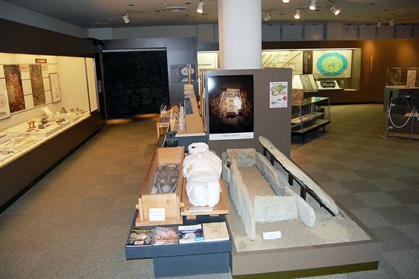 🏛️ 마쓰야마시 고고관 (마쓰야마시 고코칸) 이미지 3